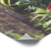 Provincie Papoea-Nieuw-Guinea, Poster (Hoek)