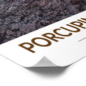 Provincie Porcupine Mountains Park Michigan Waterv Poster (Hoek)