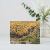 Provinciepark Porcupine Mountains Wilderness Briefkaart (Staand voorkant)