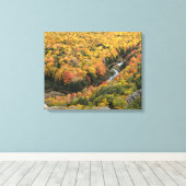 Provinciepark Porcupine Mountains Wilderness Canvas Afdruk (Insitu (Houten vloer))