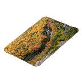 Provinciepark Porcupine Mountains Wilderness Magneet (Linkerzijde)