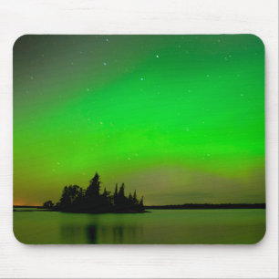 Provinciepark Whiteshel Manitoba, Canada Muismat