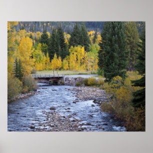 Provo-rivier en espbeomen poster