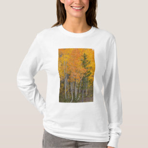 Provo-rivier en espbeomen t-shirt