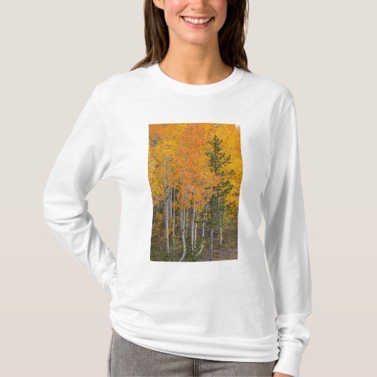 Provo-rivier en espbeomen t-shirt (Voorkant)
