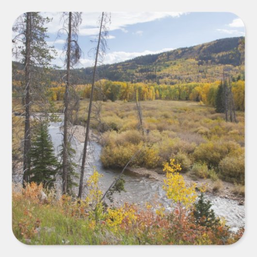 Provo-rivier en espbeomen vierkante sticker (Voorkant)