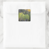 Provo-rivier en espbeuken vierkante sticker (Tas)