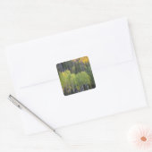 Provo-rivier en espbeuken vierkante sticker (Envelop)