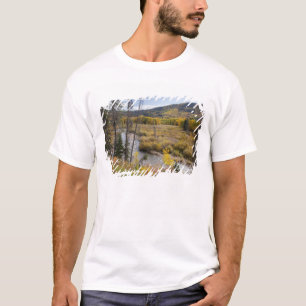 Provo-rivier en espbezen t-shirt