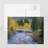 Provo-rivier en espelbomen briefkaart (Voorkant / Achterkant)