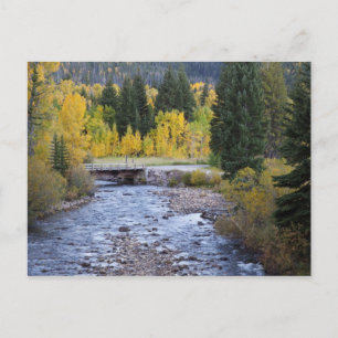 Provo-rivier en espelbomen briefkaart