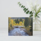 Provo-rivier en espelbomen briefkaart (Staand voorkant)