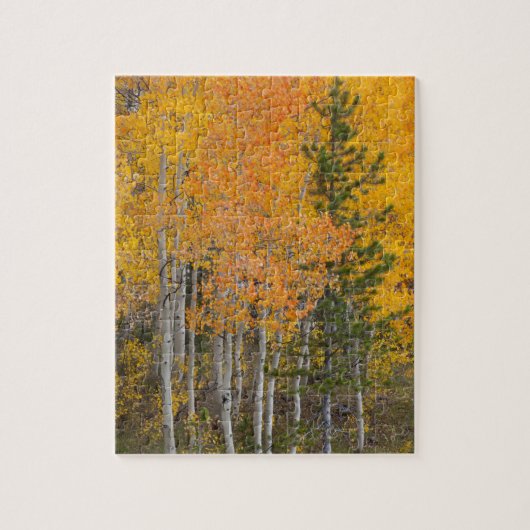 Provo-rivier en espelbomen legpuzzel (Verticaal)