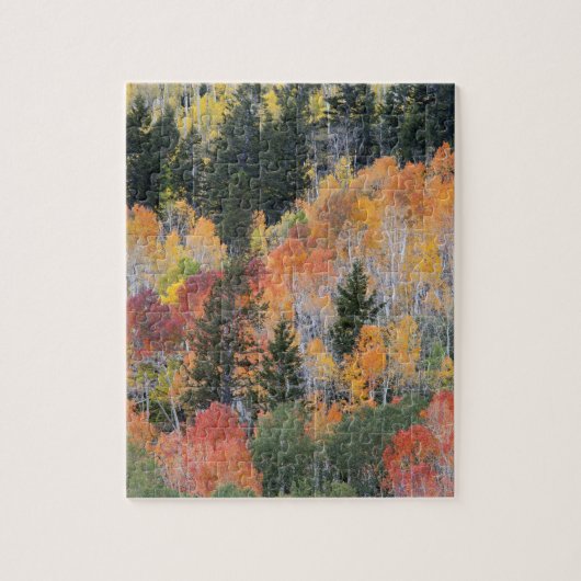 Provo-rivier en espelbomen legpuzzel (Verticaal)