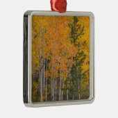 Provo-rivier en espelbomen metalen ornament (Rechts)
