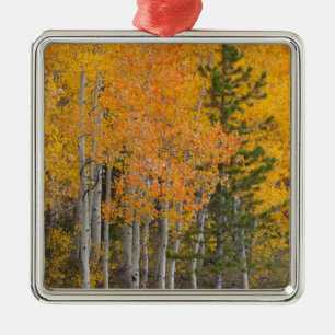 Provo-rivier en espelbomen metalen ornament