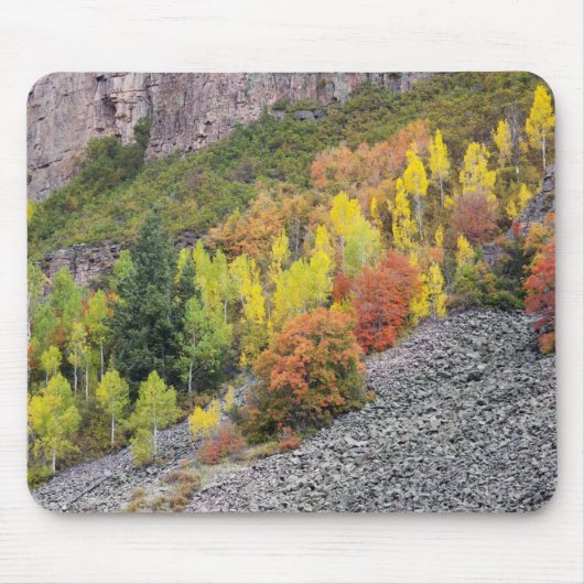Provo-rivier en espelbomen muismat (Voorkant)
