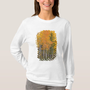 Provo-rivier en espelbomen t-shirt