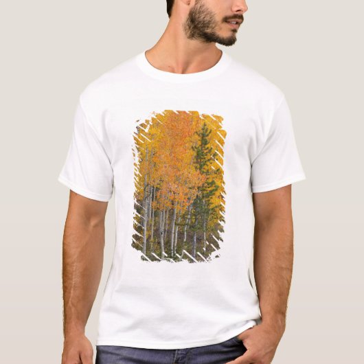 Provo-rivier en espelbomen t-shirt (Voorkant)