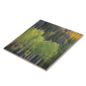 Provo-rivier en espelbomen tegeltje (Zijkant)