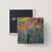 Provo-rivier en espelbomen vierkante button 5,1 cm (Voorkant /achterkant)
