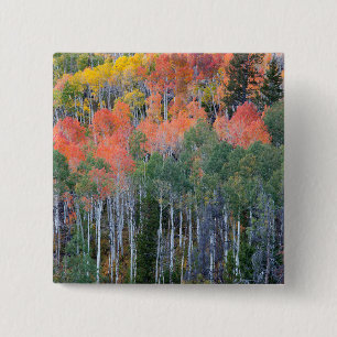 Provo-rivier en espelbomen vierkante button 5,1 cm