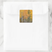 Provo-rivier en espelbomen vierkante sticker (Tas)