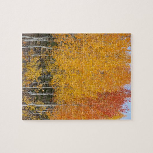 Provo rivier- en espenbomen legpuzzel (Horizontaal)