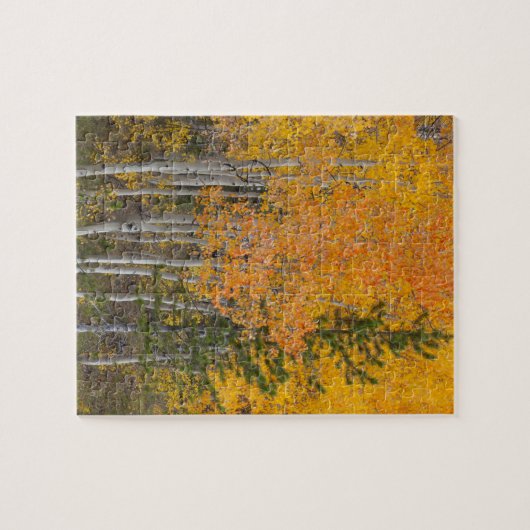 Provo rivier- en espenbomen legpuzzel (Horizontaal)