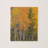 Provo rivier- en espenbomen legpuzzel (Verticaal)