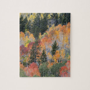 Provo rivier- en espenbomen legpuzzel