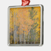 Provo rivier- en espenbomen metalen ornament (Links)