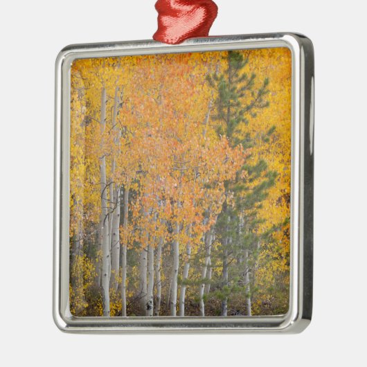 Provo rivier- en espenbomen metalen ornament (Links)