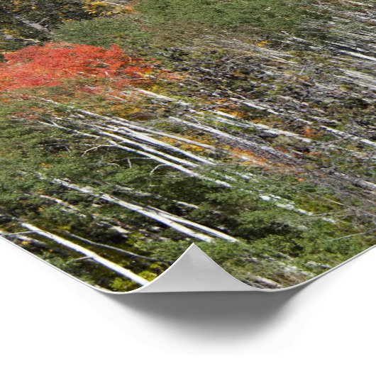 Provo rivier- en espenbomen poster (Hoek)