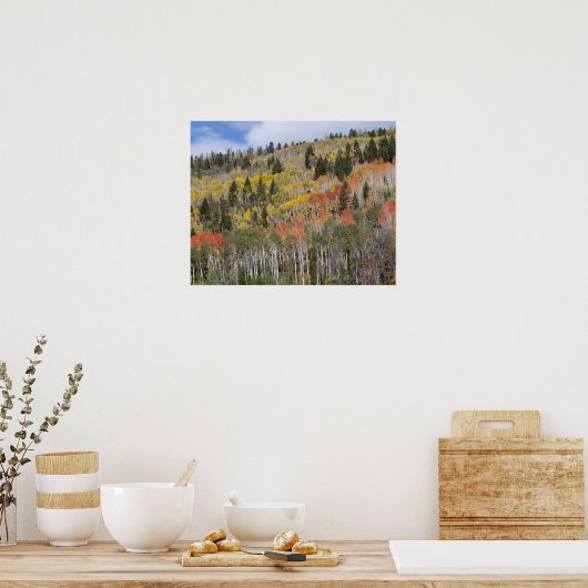 Provo rivier- en espenbomen poster (Keuken)