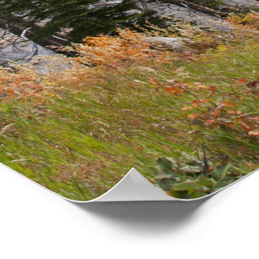 Provo rivier- en espenbomen poster (Hoek)