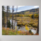 Provo rivier- en espenbomen poster (Voorkant)