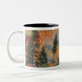 Provo rivier- en espenbomen tweekleurige koffiemok (Links)