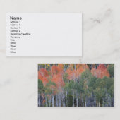 Provo rivier- en espenbomen visitekaartje (Voorkant / Achterkant)