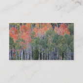 Provo rivier- en espenbomen visitekaartje (Achterkant)