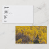 Provo rivier- en espenbomen visitekaartje (Voorkant / Achterkant)