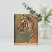 provoceren briefkaart (Staand voorkant)