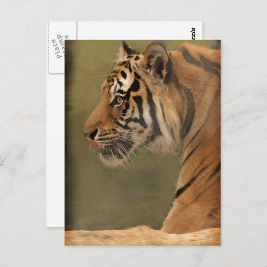 provoceren briefkaart (Voorkant / Achterkant)