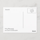 Provotie - Citaat Briefkaart (Achterkant)