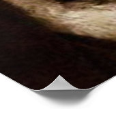 Provotioneel Afbeelding van St. Padre Pio Poster (Hoek)