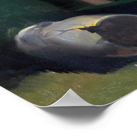 Prowler Pin Up Poster (Hoek)