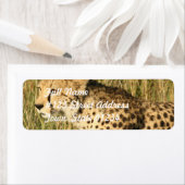 Prowling Cheetah Mailing Label (Insitu)