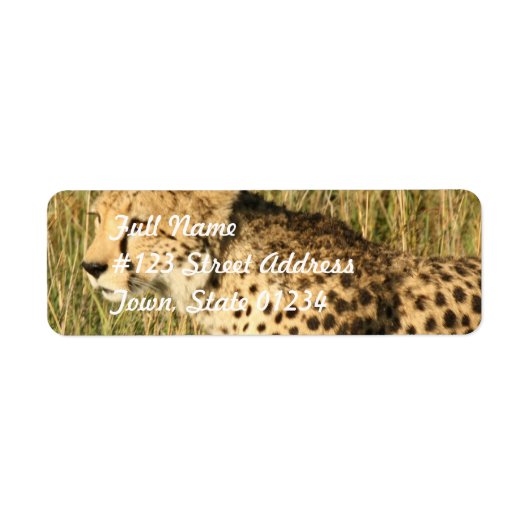 Prowling Cheetah Mailing Label (Voorkant)