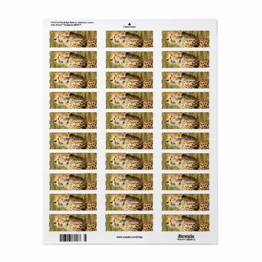 Prowling Cheetah Mailing Label (Full Sheet)