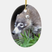 Prowling Coati Keramisch Ornament (Voorkant)